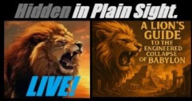 LIVE! A LIONS GUIDE TO THE ENGINEERED COLLAPSE. Mannarino