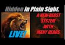 LIVE! A NEW MULTI-POLAR DEBT BASED SYSTEM… (A BEAST WITH MANY HEADS). Mannarino