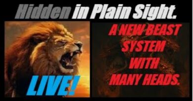 LIVE! A NEW MULTI-POLAR DEBT BASED SYSTEM… (A BEAST WITH MANY HEADS). Mannarino