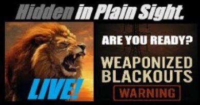 LIVE! EXPECT WIDESPREAD ELECTRICAL GRID “FAILURES.” PREPARE NOW. Mannarino