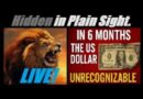 LIVE… NO ONE IS READY FOR THIS. IN 6 MONTHS, THE US DOLLAR WILL BE UNRECOGNIZABLE. Mannarino