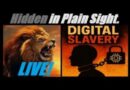 LIVE. Welcome! The Corporate State Of NEW AMERICA. YOU ARE NOW A SLAVE IN DIGITAL CHAINS. Mannarino
