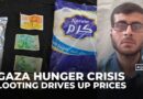 Looting drives up food prices amid Gaza’s deepening hunger crisis