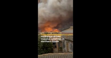 Massive wildfires break out in Spain | AJ #shorts