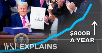 Medicaid Covers 1 out of 5 Americans. How Did It Get So Big? | WSJ