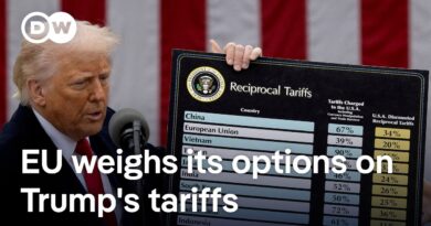 Might Trump’s tariffs be a strategy to fund tax cuts on the rich, and could it backfire? | DW News