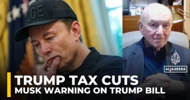 Musk unlikely to create a winning political coalition: Analysis
