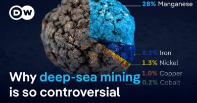 Nations discuss deep-sea mining at Jamaica summit | DW News
