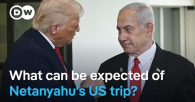 Netanyahu: Talks with Trump can help ceasefire deal | DW News