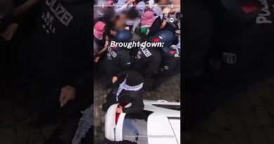 New report casts doubt on Berlin police statements | DW News
