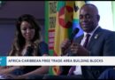 New World Order: Opportunity for strengthening Afri-Caribbean trade, investment & cultural relations