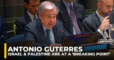 ‘Nothing can justify the obliteration of Gaza’: UN chief