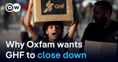 Over 165 charities and NGOs call for end to Gaza Humanitarian Foundation | DW News
