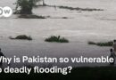 Pakistan torrential floods leave dozens dead | DW News
