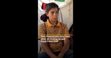 Palestinian boy describes chaos and killings at GHF aid site