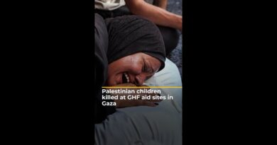 Palestinian children killed at GHF aid sites in Gaza | AJ#shorts