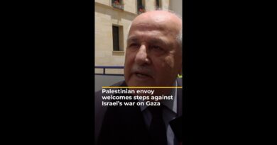Palestinian envoy welcomes steps against Israel’s war on Gaza | AJ #shorts