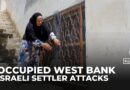 Palestinians in the West Bank cage homes to guard against Israeli settler attacks