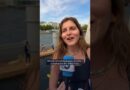 Paris reopens the River Seine to swimmers | DW News