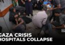 People risking their lives in Gaza for food: Dr. Rick Pepperkorn