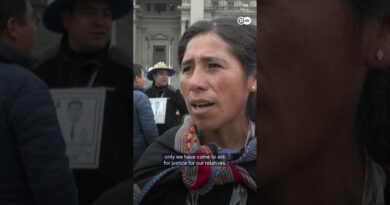 Peru: Anti-government protesters clash with police | DW News