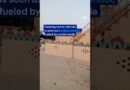 Pet lion attacks woman and children on a street in Lahore | DW News