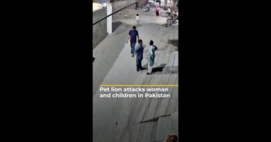 Pet lion attacks woman and children in Pakistan | AJ #shorts