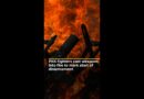 PKK fighters cast weapons into fire to mark start of disarmament | AJ #shorts