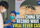 Potentially Deadly New Virus Outbreak in China Spread by Mosquitoes