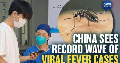 Potentially Deadly New Virus Outbreak in China Spread by Mosquitoes