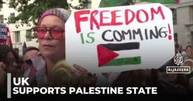 Pressure growing on UK prime minister: Hundreds protests against support for Israel