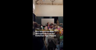 Pro-Israeli heckler disrupts lecture by historian Ilan Pappe