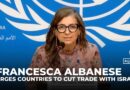 ‘Profiting from occupation’: UN expert urges countries to cut trade, financial ties with Israel