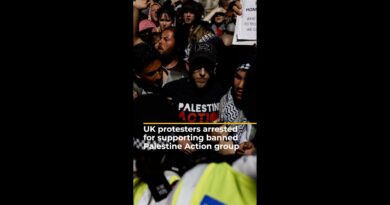 Protesters arrested in the UK for supporting banned Palestine Action group | AJ #shorts