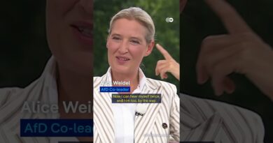Protesters disrupt interview with AfD’s Alice Weidel | DW News