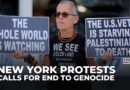 Protesters in New York demand UN action to end genocide in Gaza amid ongoing war