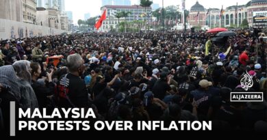 Protests in Malaysia: Calls for prime minister Anwar Ibrahim to step down