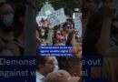 Protests in Mexico City against gentrification, rising rent prices and digital nomads | DW News