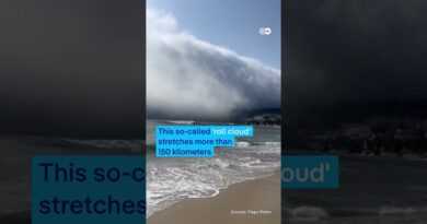 Rare ‘tsunami’ cloud formation rolls towards Portugal’s Atlantic coast | DW News