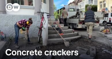 Reclaiming concrete: How Swiss cities are going green | Focus on Europe