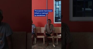 Record-setting rodent sniffing out landmines and saving lives in Cambodia | DW News