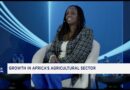 Resetting the Narrative: Advancing Africa’s Economic Sovereignty & Unlocking SME Growth