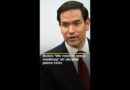 Rubio: ‘We need to see a roadmap’ on Ukraine peace talks | #ajshorts