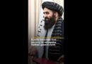 Russia becomes first country to recognise Taliban government | AJ #shorts