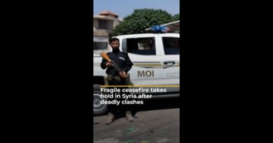 Shaky ceasefire takes hold in Syria after week of deadly clashes in Suwayda | AJ #shorts
