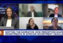 Shifting the Narrative: How Perception Shapes Investments in African Investment Vehicles