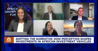 Shifting the Narrative: How Perception Shapes Investments in African Investment Vehicles