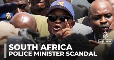 South African police minister accused of links to criminal syndicates
