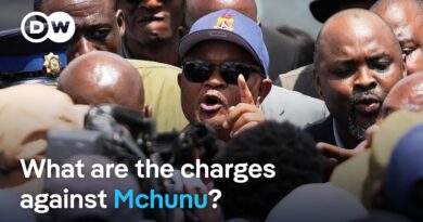 South African police minister Mchunu suspended over alleged corruption | DW News