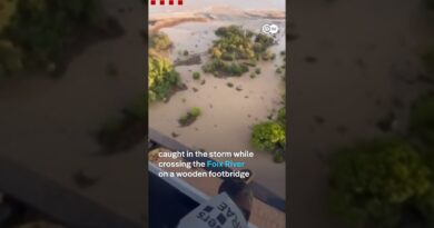 Spain: Rescuers continue search for two people swept away in Cubelles floods | DW News